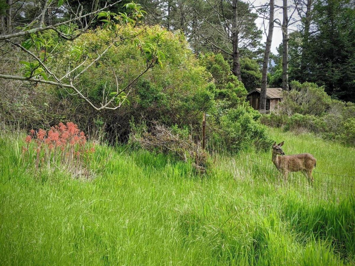 The Quail'S Nest Retreat Villa Point Reyes Station Exterior photo